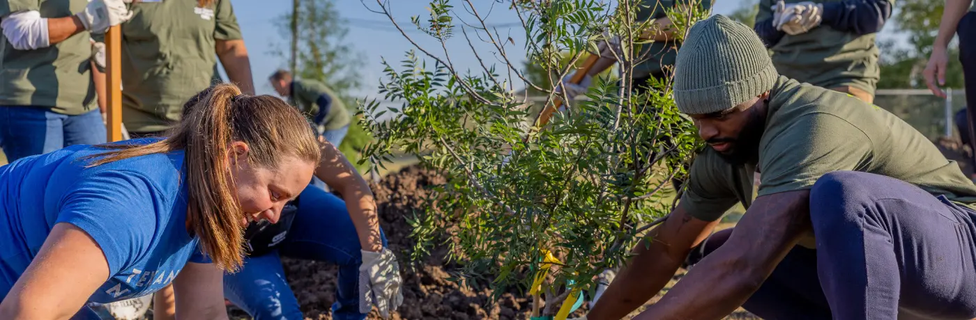 Tree planting Trees for Texans